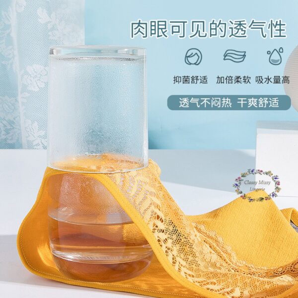 Graphene Antibacterial Mid-Waist Japanese Lace Antibacterial Underwear/石墨烯抑菌中腰日系蕾丝抗菌内裤【PC611】 - Image 6