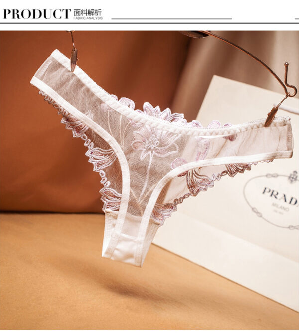 Tulle Embroidered Thong/薄纱刺绣小丁【T508】 - Image 13