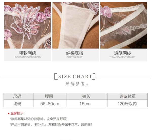 Tulle Embroidered Thong/薄纱刺绣小丁【T508】 - Image 8