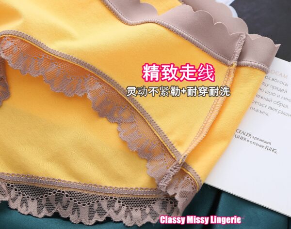 Mid Waist Lace Sweet Lady Antibacterial Panties/中腰蕾丝甜美少女抗菌内裤【PC613】 - Image 8