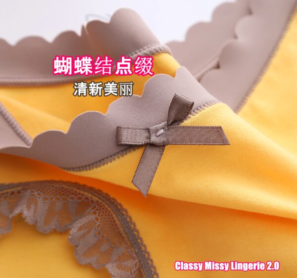 Mid Waist Lace Sweet Lady Antibacterial Panties/中腰蕾丝甜美少女抗菌内裤【PC613】 - Image 7